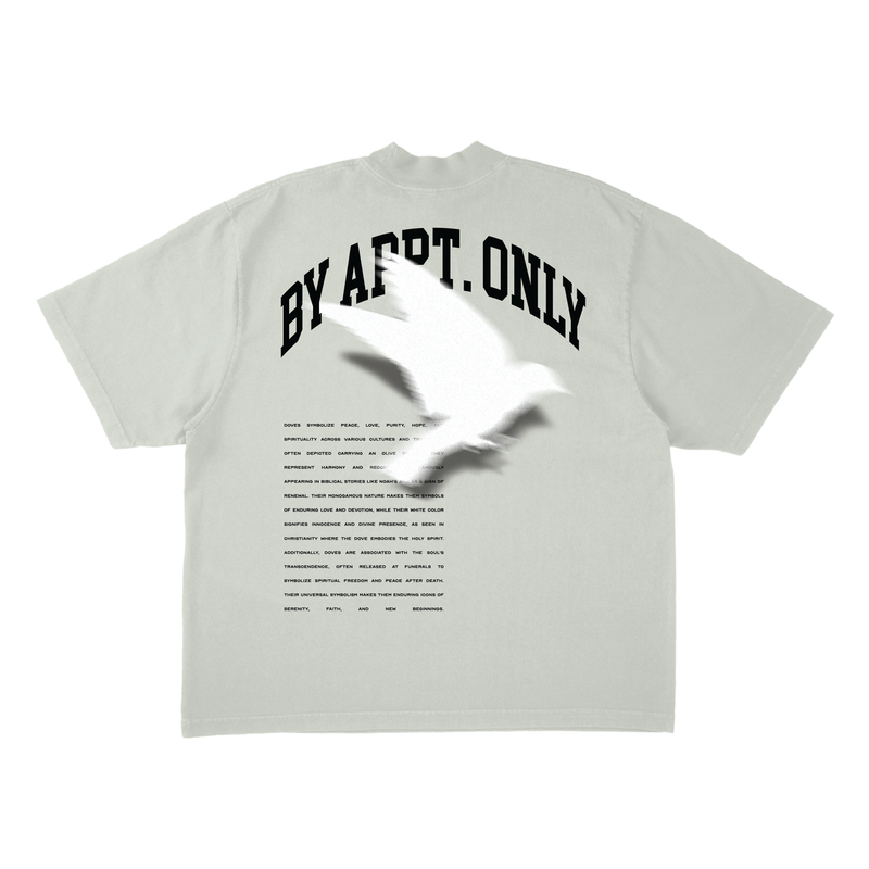 SPIRITUAL FREEDOM TEE - CEMENT