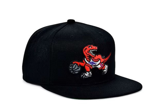 MITCHELL & NESS TORONTO RAPTORS NBA HARDWOOD CLASSIC BASIC CAP