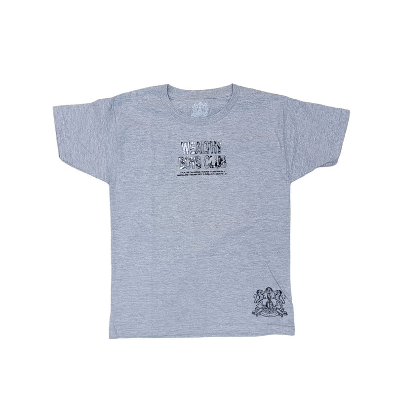 KIDS WEALTHY BOYS TEE-GREY