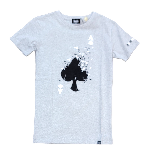 KIDS DENIMICITY ACES FLYING T SHIRT-GREY