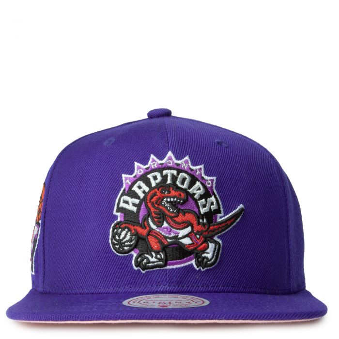 TORONTO RAPTORS ALL LOVE SNAPBACK